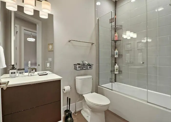 Nicely Decorated 1br W Laundry - Crosby 202 Chicago