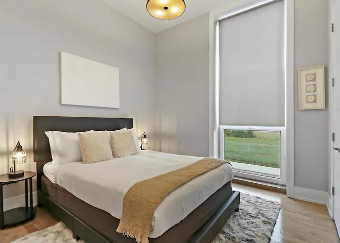 Nicely Decorated 1br W Laundry - Crosby 202 Apartment Chicago